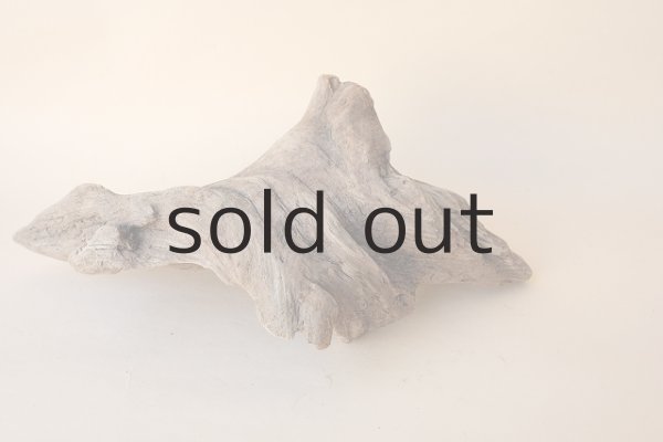 画像3: 変形流木 (3)