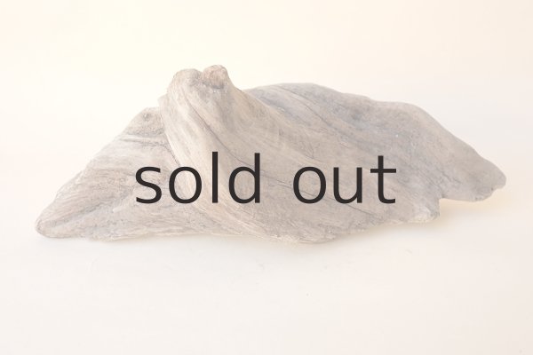 画像2: 変形流木 (2)