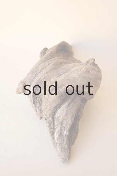 画像4: 変形流木 (4)