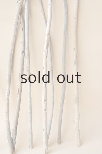 画像3: 棒流木セット (3)