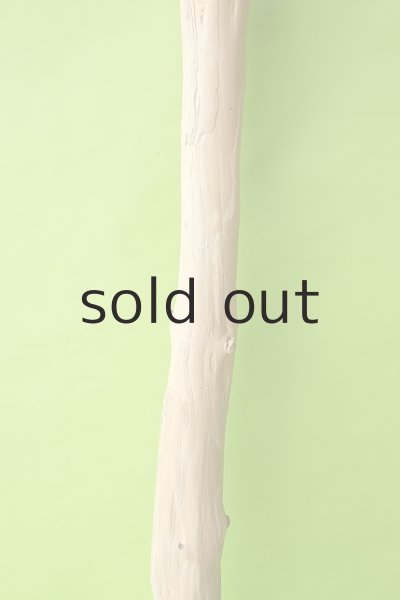 画像3: 幹流木 (3)