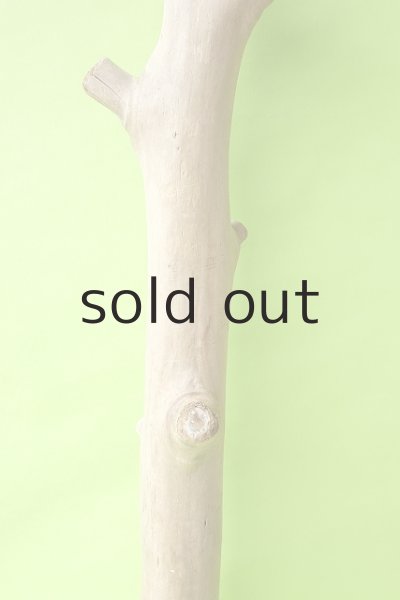 画像3: 幹流木 (3)