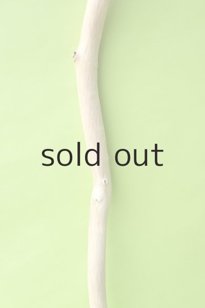 画像3: 幹流木 (3)