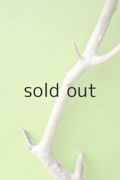 画像3: 幹流木 (3)