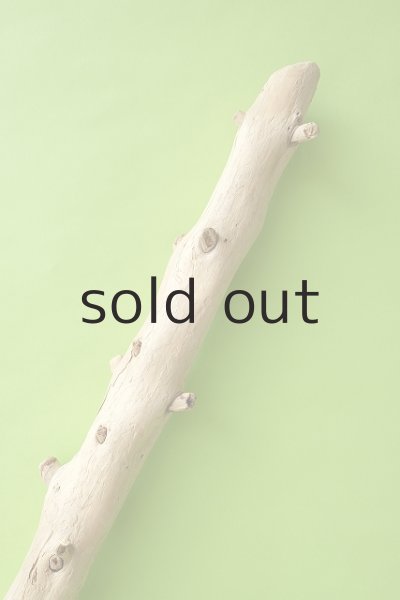 画像4: 幹流木 (4)