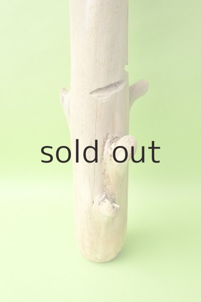 画像2: 幹流木 (2)