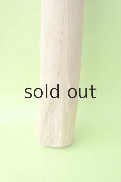 画像2: 幹流木 (2)