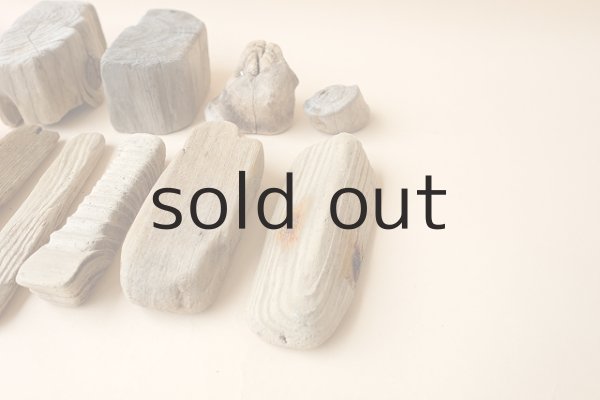 画像4: 板流木セット (4)