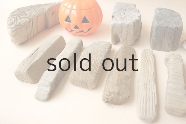 画像3: 板流木セット (3)