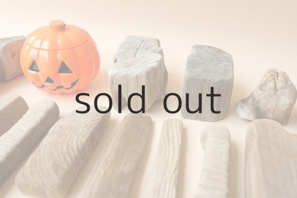 画像2: 板流木セット (2)