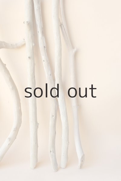 画像4: 小枝流木セット (4)