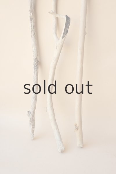 画像2: 小枝流木セット (2)