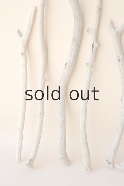 画像2: 小枝流木セット (2)