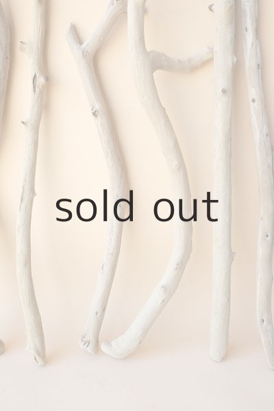 画像3: 小枝流木セット (3)