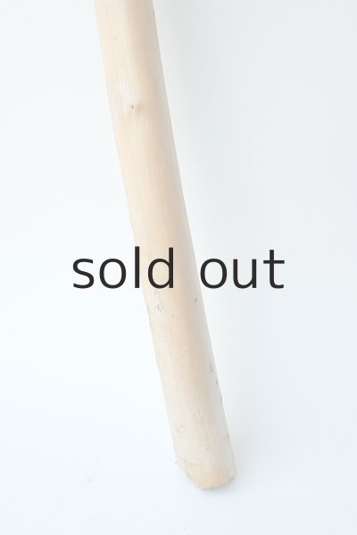 画像2: 棒流木 (2)