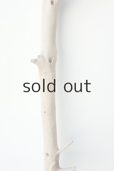 画像3: 幹流木 (3)