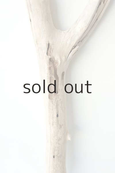 画像3: 幹流木 (3)