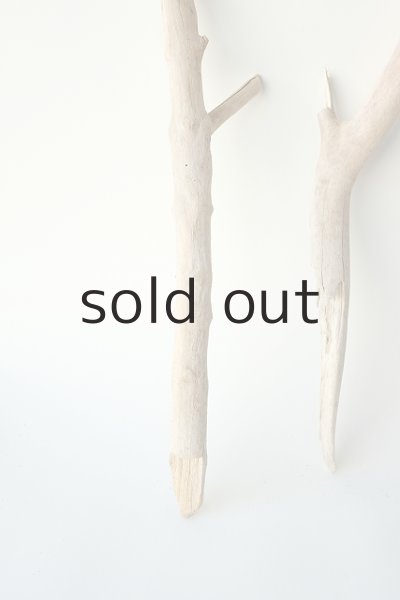 画像2: 小枝流木セット (2)