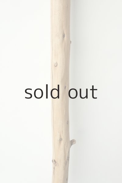 画像3: 幹流木 (3)