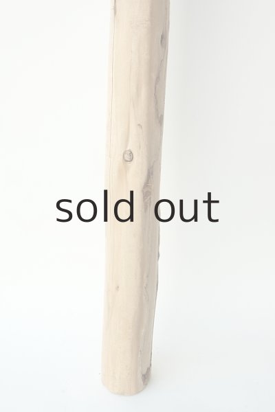 画像2: 幹流木 (2)