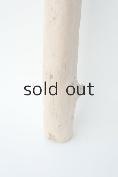 画像2: 幹流木 (2)