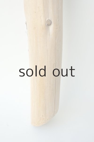 画像2: 幹流木 (2)