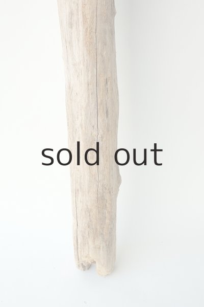 画像2: 幹流木 (2)