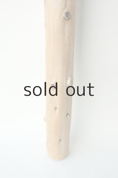 画像2: 幹流木 (2)