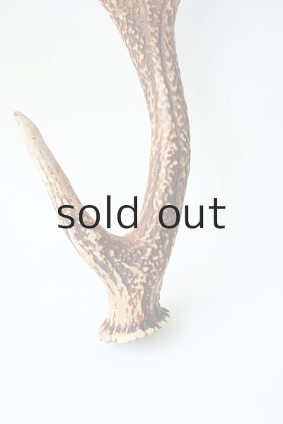 画像2: デコール用二ホンジカの角 (2)