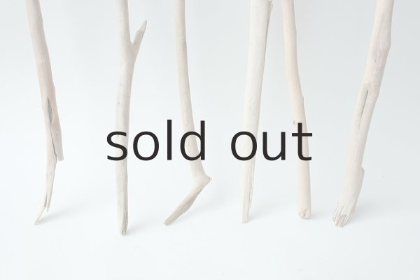 画像2: 小枝流木セット (2)