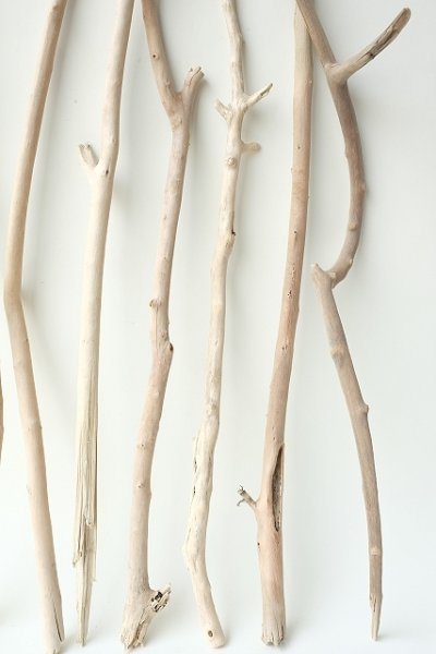 画像3: 小枝流木セット (3)