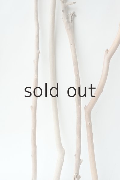 画像2: 小枝流木セット (2)