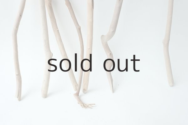 画像2: 小枝流木セット (2)