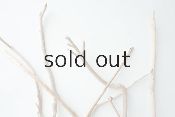 画像4: 小枝流木セット (4)