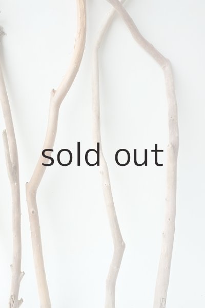 画像3: 小枝流木セット (3)