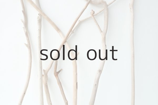 画像3: 小枝流木セット (3)