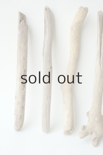 画像2: 小枝流木セット (2)