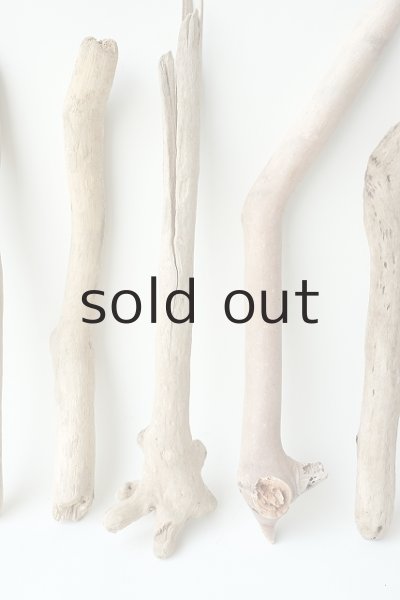 画像3: 小枝流木セット (3)