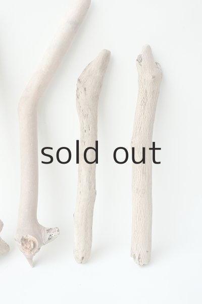 画像4: 小枝流木セット (4)