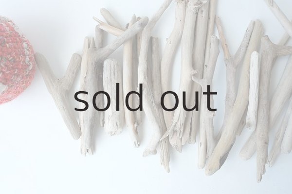 画像2: 小枝流木セット (2)