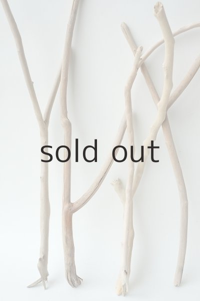 画像2: 小枝流木セット (2)