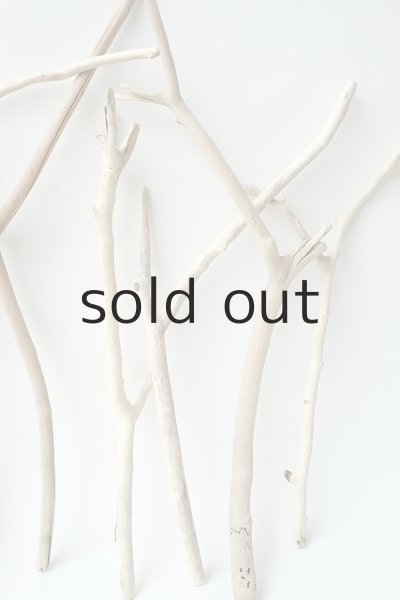 画像3: 小枝流木セット (3)