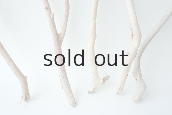 画像2: 小枝流木セット (2)