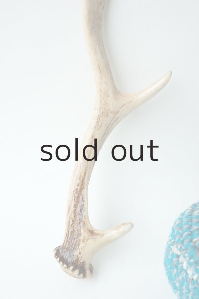 画像2: デコール用二ホンジカの角（ニス塗布済） (2)