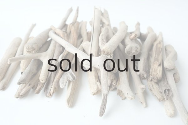 画像2: 小枝流木セット (2)