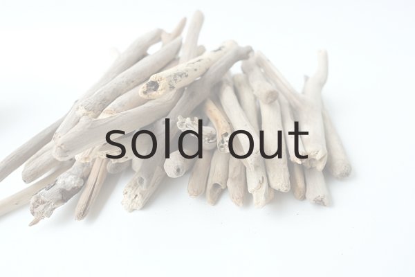 画像2: 小枝流木セット (2)