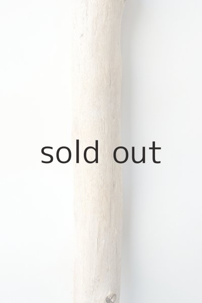 画像3: 幹流木 (3)