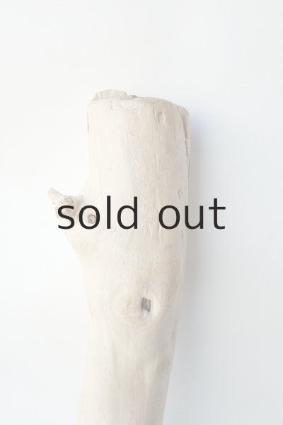 画像3: 幹流木 (3)