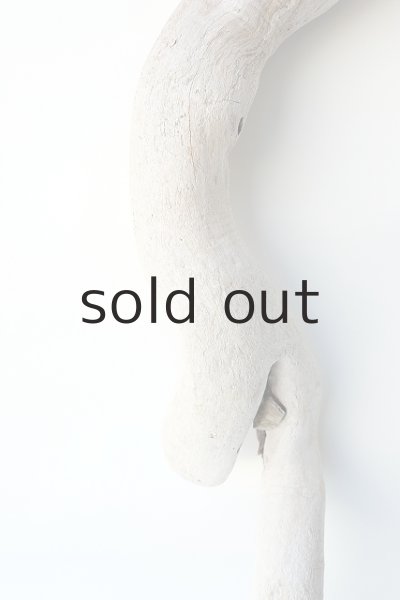 画像3: 幹流木 (3)