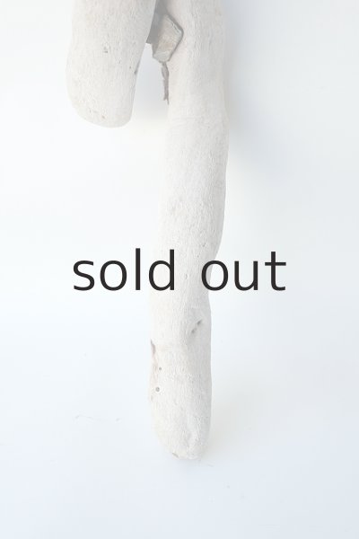 画像2: 幹流木 (2)